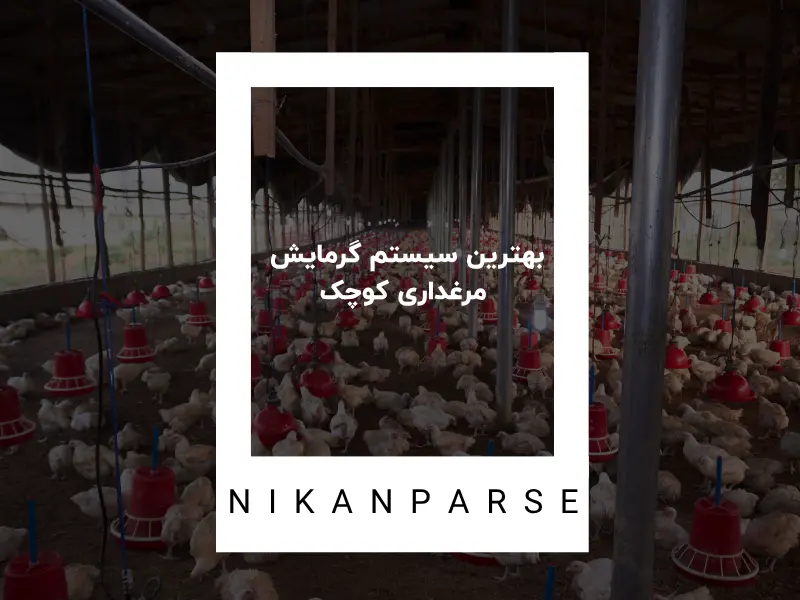 بهترین سیستم گرمایش مرغداری کوچک