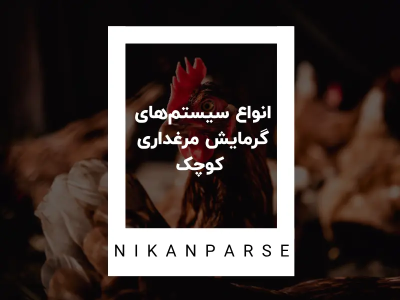 انواع سیستم‌های گرمایش مرغداری‌ کوچک