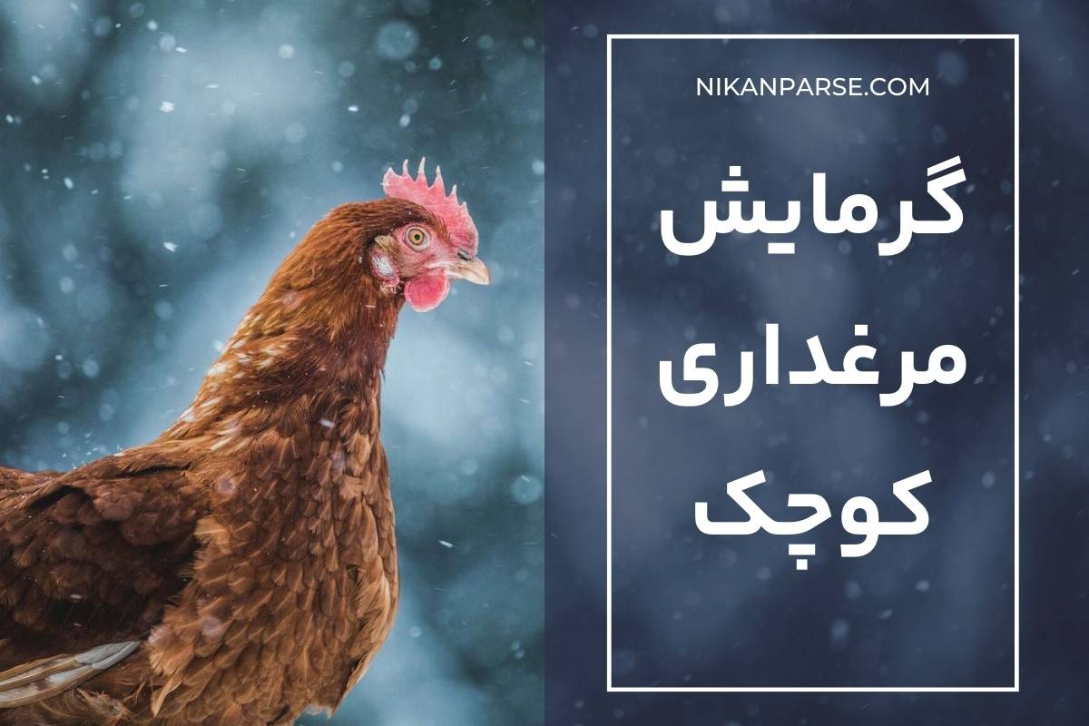 گرمایش مرغداری کوچک
