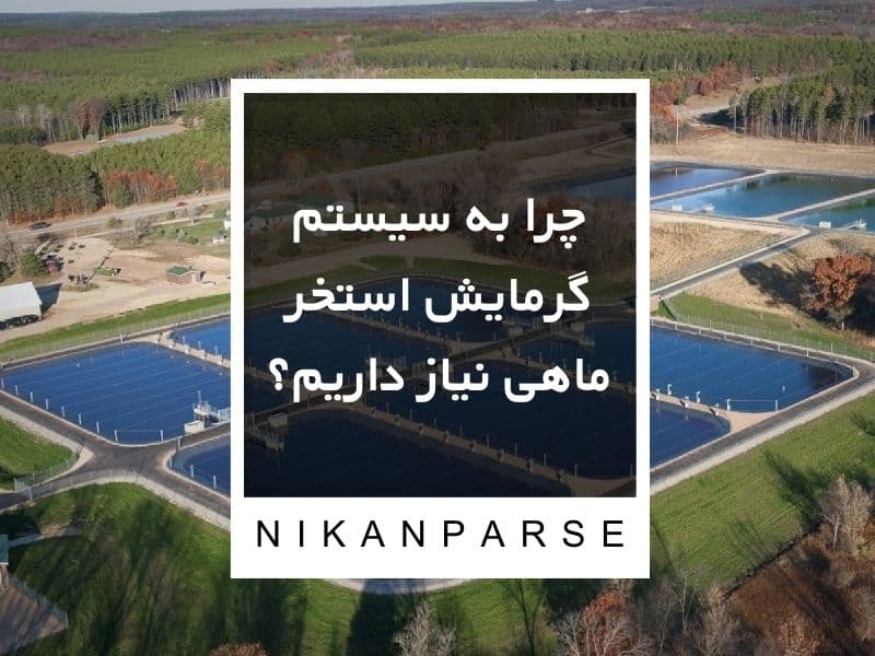 چرا به سیستم گرمایش استخر ماهی نیاز داریم؟