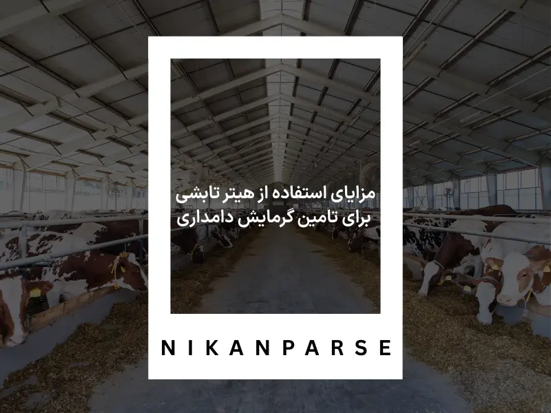 مزایای استفاده از هیتر تابشی برای تامین گرمایش دامداری