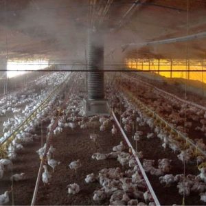 Italian industrial hydraulic fogging equipment for poultry farming