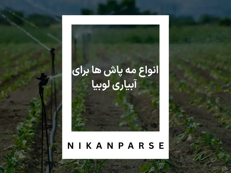 انواع مه پاش ها برای آبیاری لوبیا