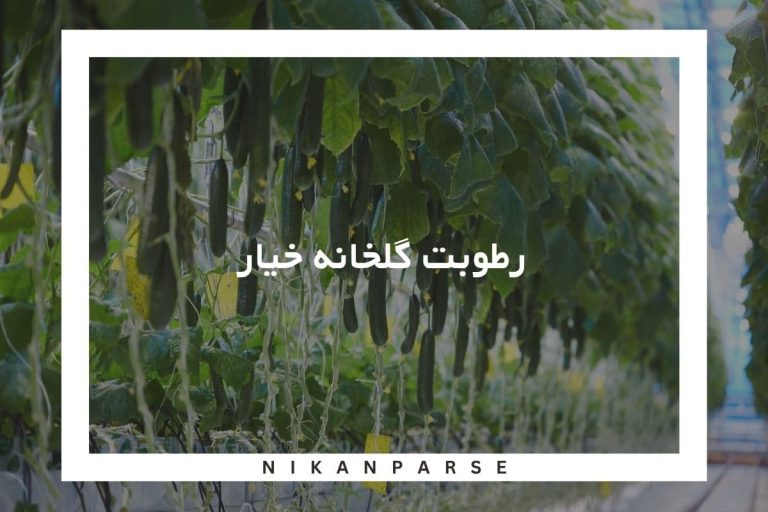 رطوبت گلخانه خیار