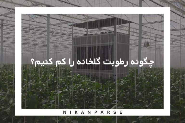 چگونه رطوبت گلخانه را کم کنیم
