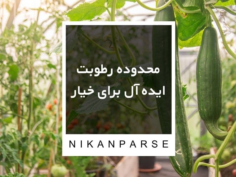 محدوده رطوبت ایده آل برای خیار