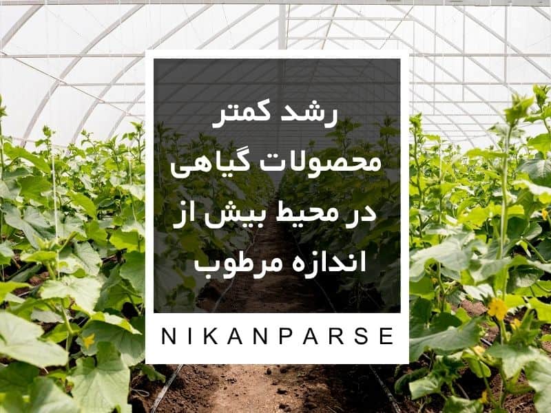 رشد کمتر محصولات گیاهی در محیط بیش از اندازه مرطوب 