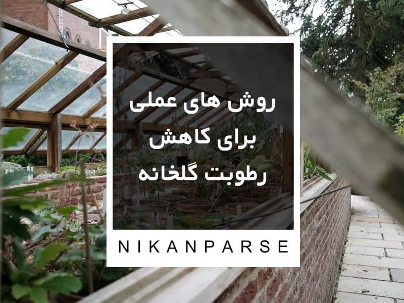 روش های عملی برای کاهش رطوبت گلخانه
