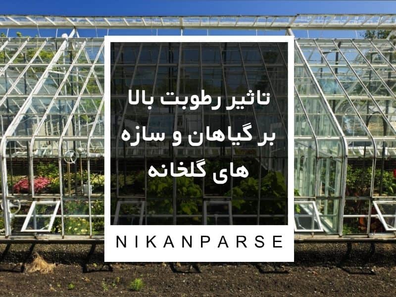 تاثیر رطوبت بالا بر گیاهان و سازه های گلخانه