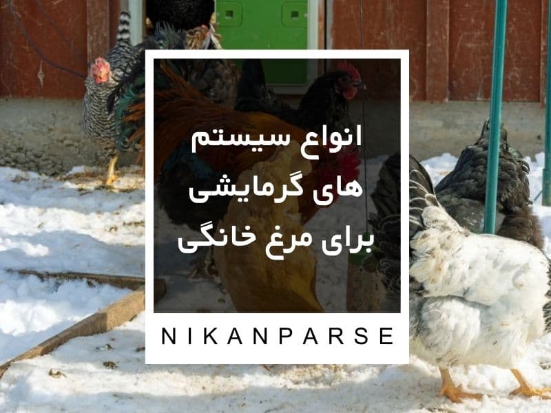 انواع سیستم های گرمایشی برای مرغ خانگی