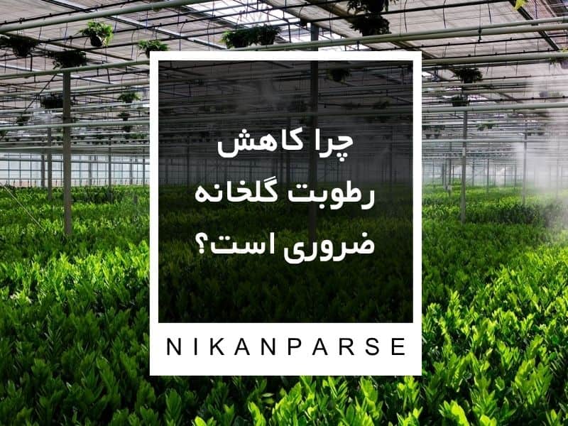 چرا کاهش رطوبت گلخانه ضروری است؟