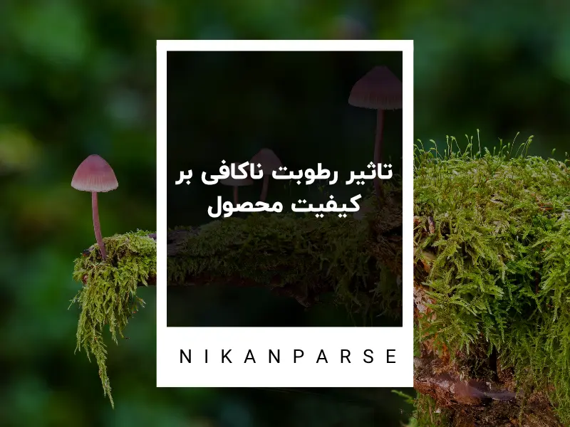 تاثیر رطوبت ناکافی بر کیفیت محصول