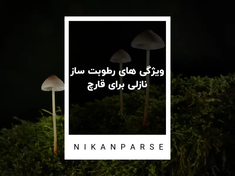 ویژگی های رطوبت ساز نازلی برای قارچ