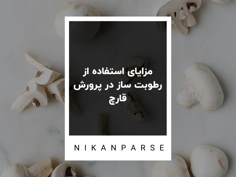 مزایای استفاده از رطوبت ساز در پرورش قارچ