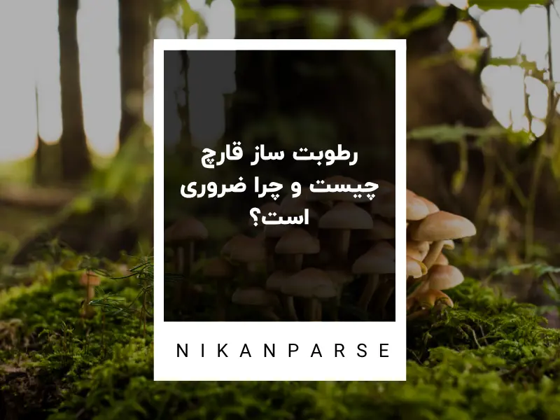 رطوبت ساز قارچ چیست و چرا ضروری است؟