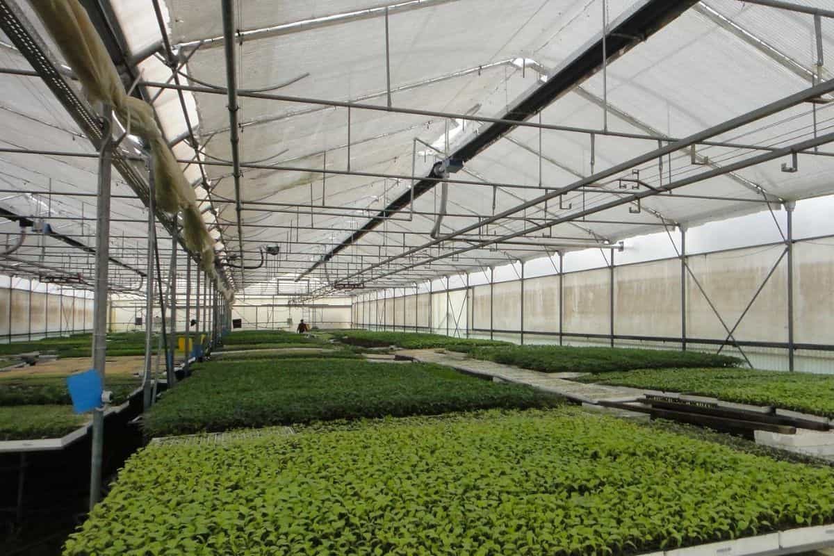 گرمایش گلخانه بدون گاز گرمایش گلخانه بدون گاز