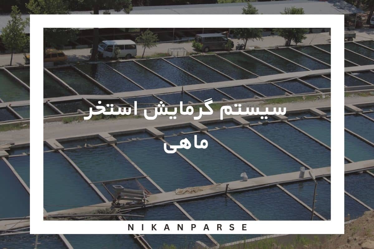 سیستم گرمایش استخر ماهی