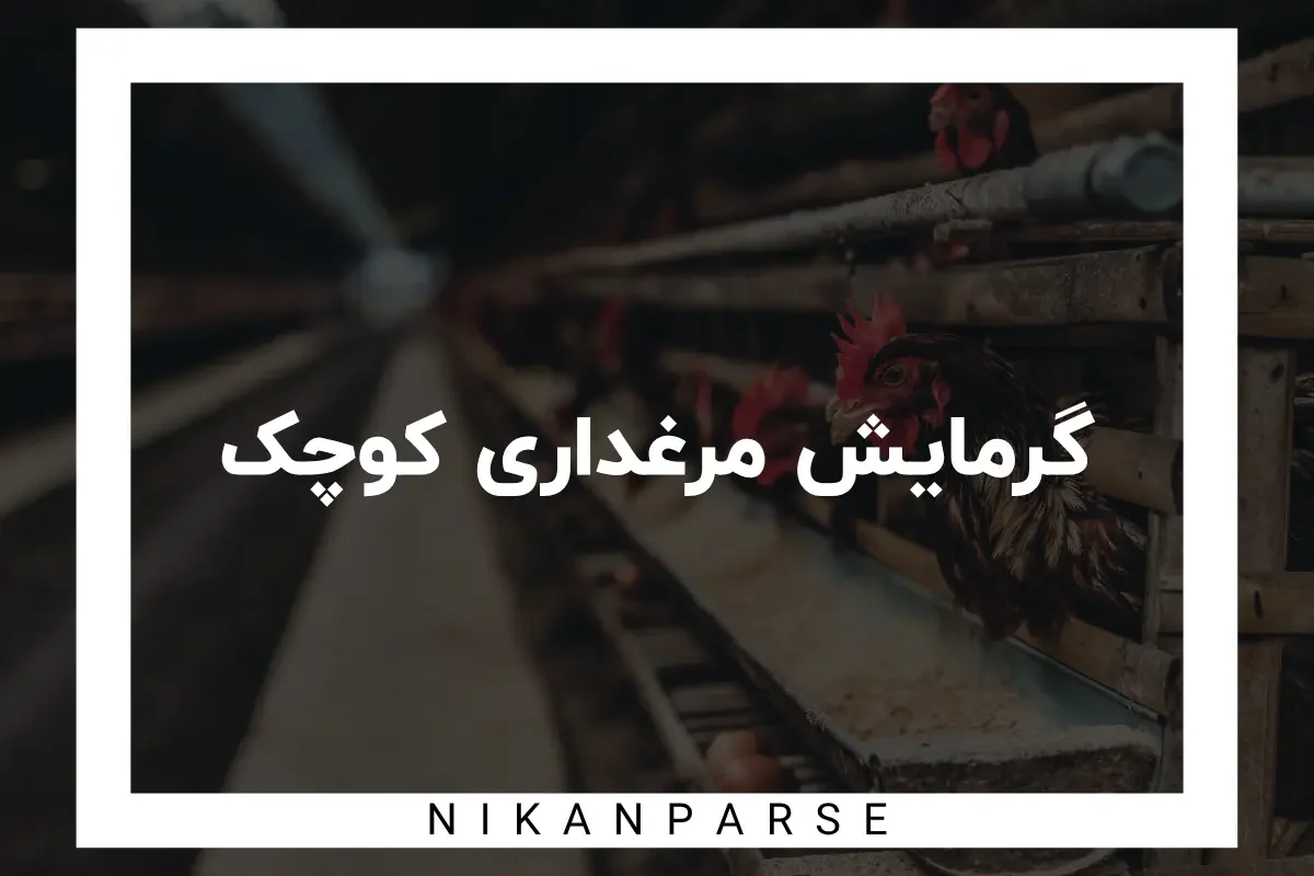 گرمایش مرغداری کوچک + معرفی بهترین دستگاه های گرمایشی 2025