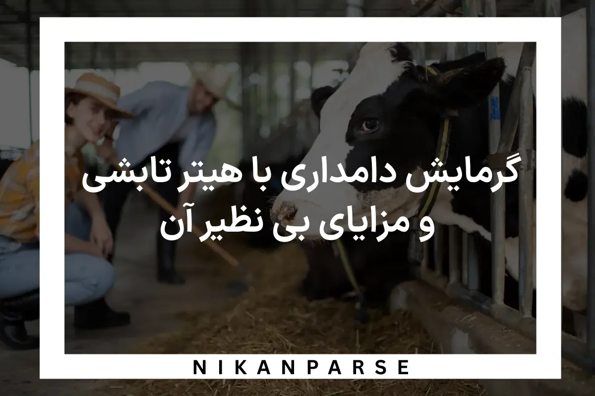 گرمایش دامداری با هیتر تابشی و مزایای بی نظیر آن!