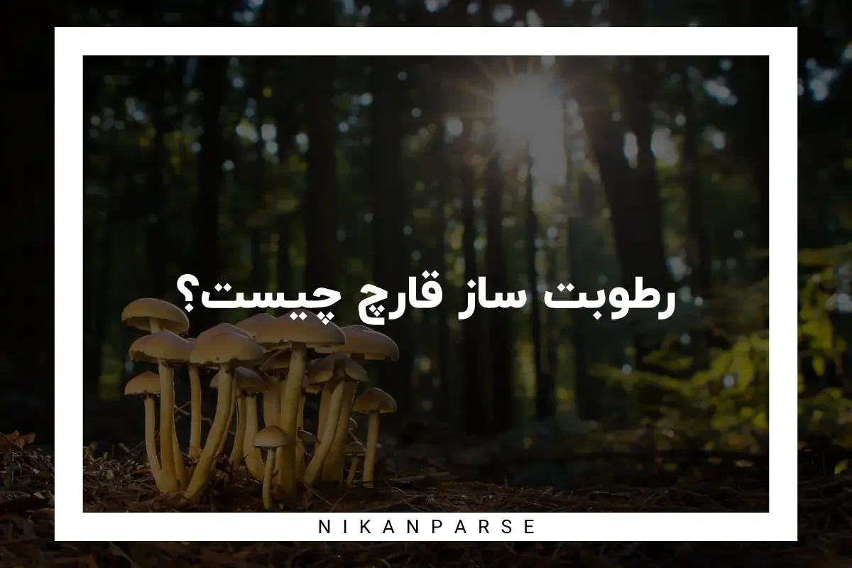رطوبت ساز قارچ چیست؟ / کاربرد و نحوه انتخاب صحیح