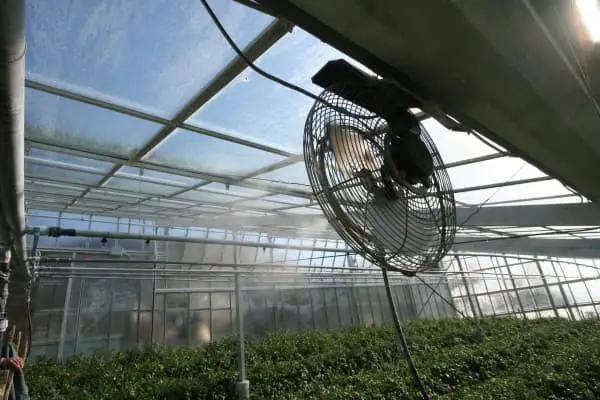 انواع پنکه مه پاش