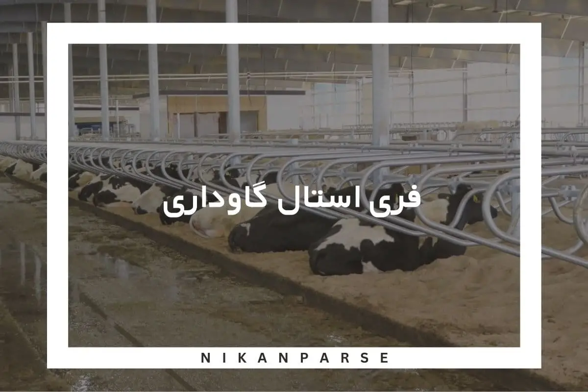 فری استال گاوداری