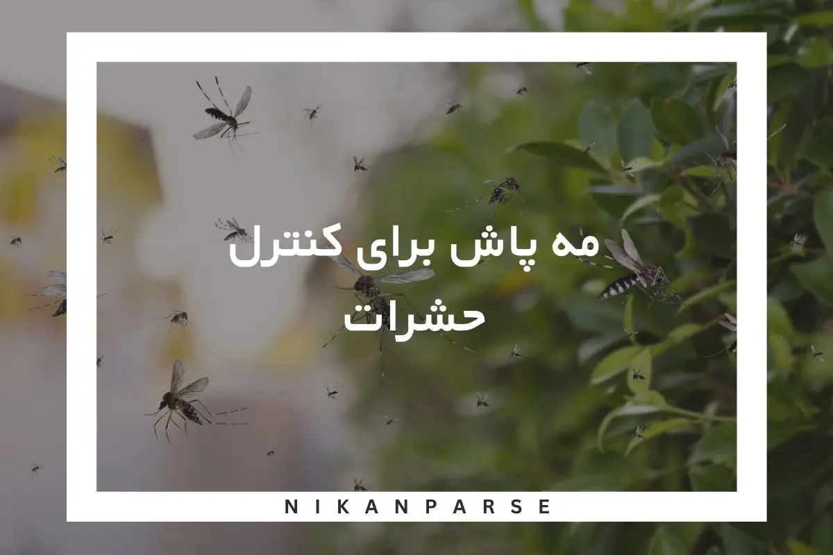 مه پاش برای کنترل حشرات