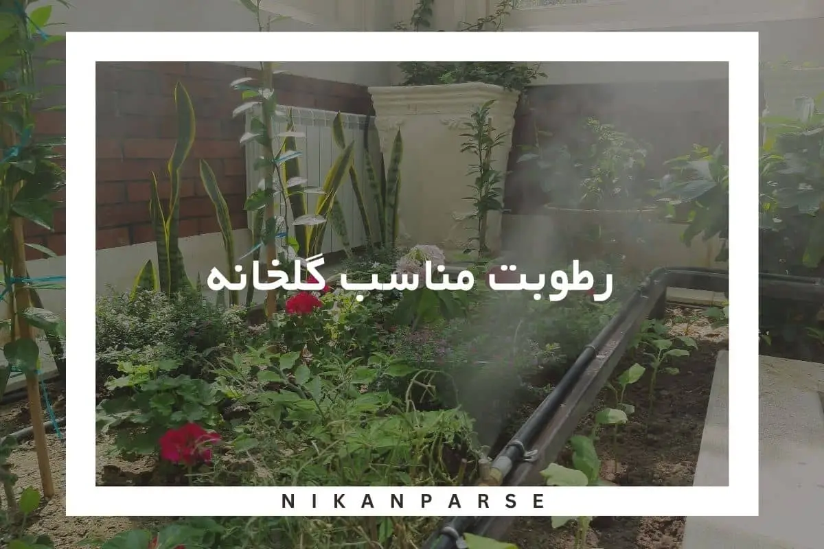 رطوبت مناسب گلخانه